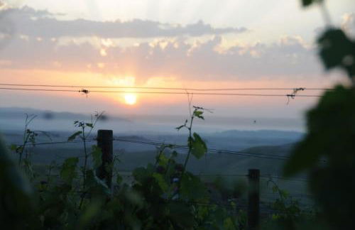 Agriturismo Podere Marcampo - Foto 34