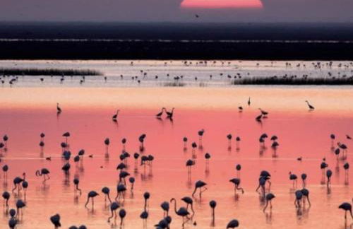 40m2 Cozy DON TOMAS 100m beach - Foto 5