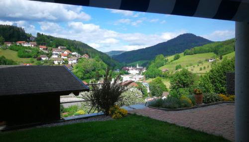 Ferienwohnung Schwarzwaldsteig - Foto 3, Garden, Garden view