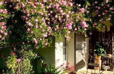 Le Jardin de Lau - Photo 22