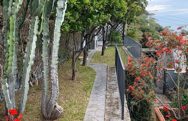 Upper Class - Photo 21