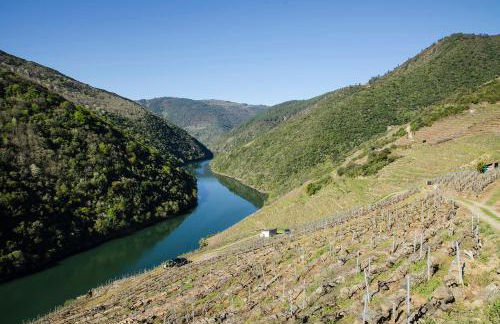 casa ferreirua - Foto 32