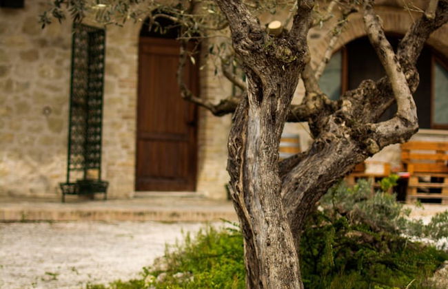 Al Regio Tratturo - Foto 39