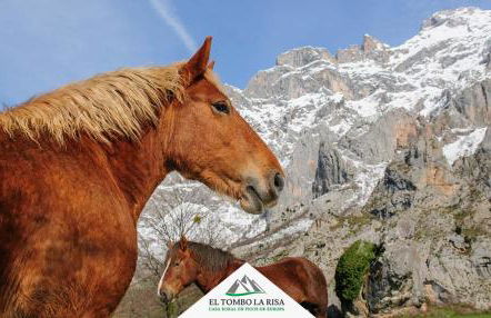 Casa Rural El Tombo la Risa - Foto 22