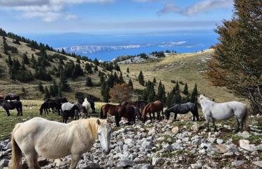 Apartment Biondić - Villa Sunce - Foto 45