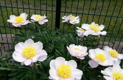 Gartenblick Trebbin - Foto 2