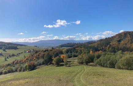 Na Piotrowickiej Przełęczy - Foto 67