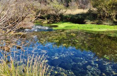 Apartmani Rudi - Foto 79