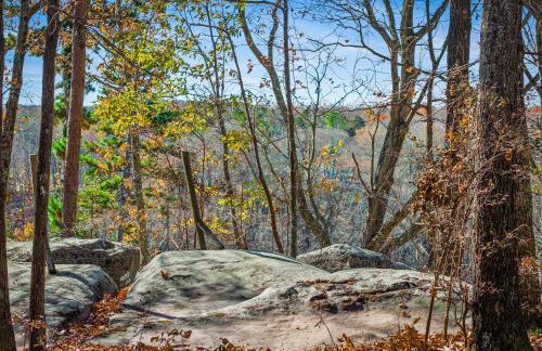 Brow Bella - Mt Views, Hot Tub & Porch - Foto 7