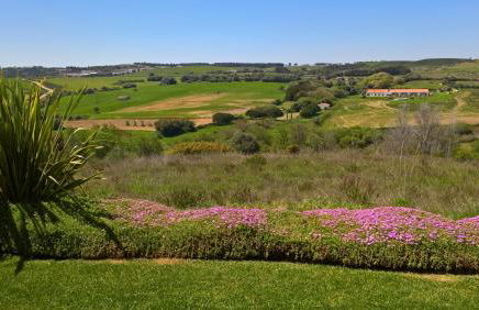 Monte da Sapaleira - Foto 12