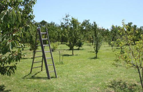 Tuscan Dream Casa Vacanze - Foto 28