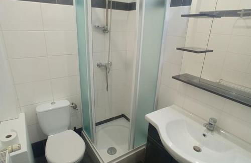 Appartement cosy - Centre de Barr - Route des Vins - Photo 8