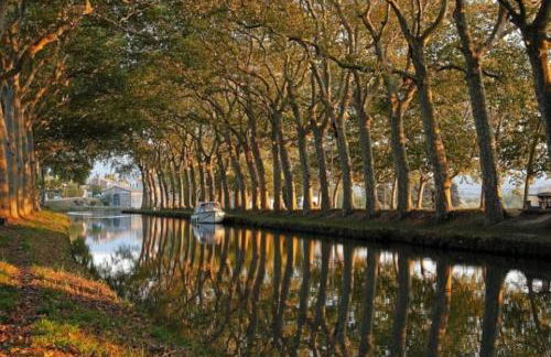 MAS DES VIGNES - View Cité de Carcassonne - Foto 29