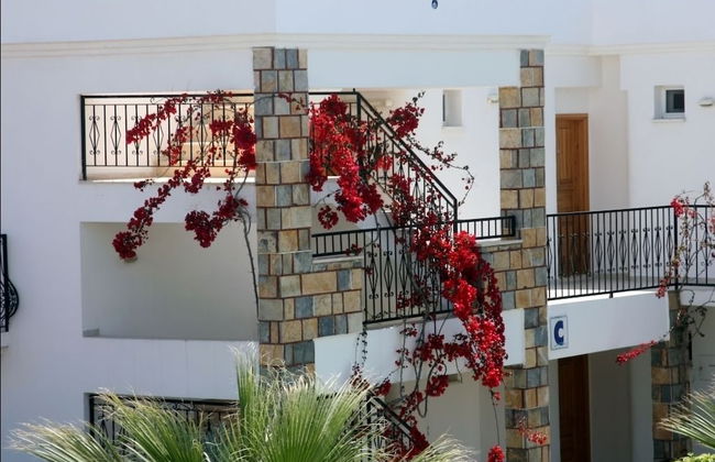 Agar Apart - Photo 20