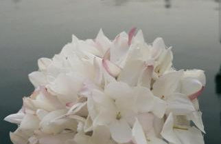 Apartamento PREMIUM La Biznaga - Foto 33