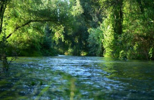 Vivienda rural Mogón-Junto al Guadalquivir B - Foto 14