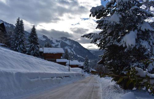 Chalet le Petit Ramoneur - Foto 16