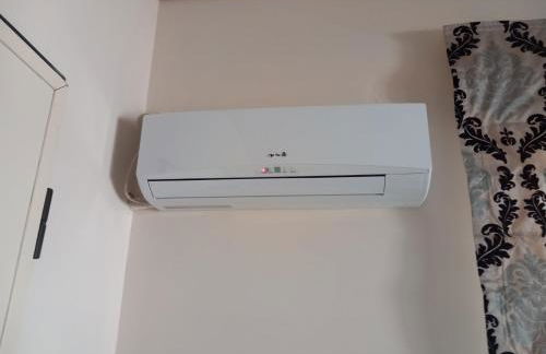 Fox's Sunshine - Foto 8