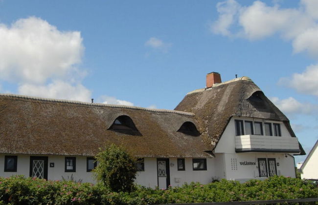 D Wilting in the House - Foto 19