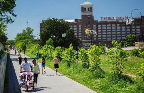 Lion's Lair - Foto 48