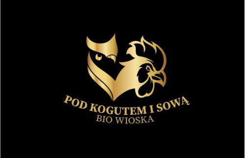Pod Kogutem i Sową - Bio Wioska z domkami Premium w góralskim stylu VIP - Foto 63