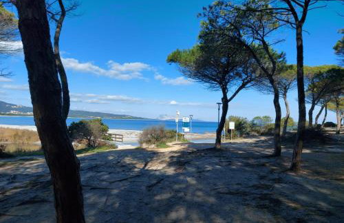 villetta Gallura 13 - Photo 26