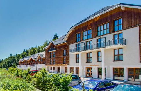 Le Nivelet - Duplex aux pieds des pistes toute l'année - Foto 23