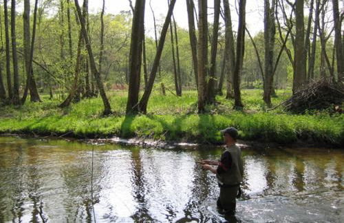 Château Le Brun - Loire Valley and vineyards - Foto 63