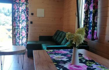 W dolinie Huty - Foto 5