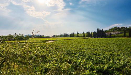 Casa Vittoria-Relax tra Lago di Garda e Verona - Foto 5