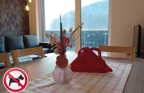 Ferienwohnungen am Schlossberg - Foto 16