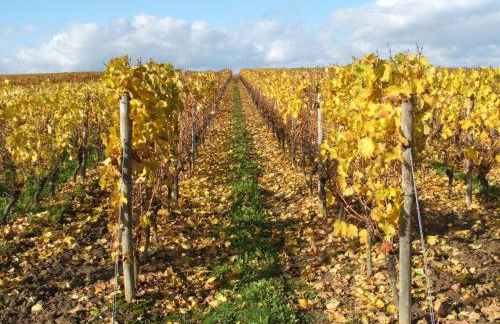 Ferienhaus Am Schildberg - Foto 28