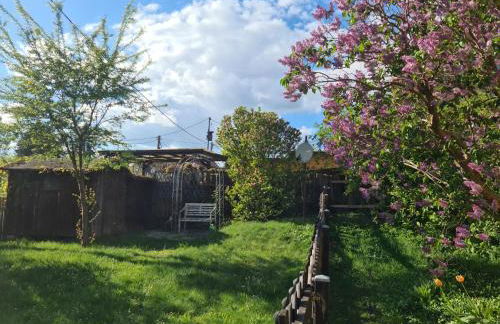 Gästehaus zum Rosengarten - Photo 34