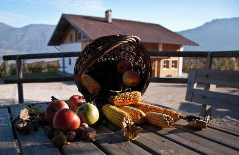 Agritur Maso Pra' Cavai B&B - Photo 29