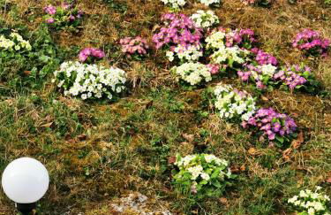 Clos des lys - Foto 4