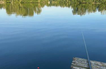 Direkt am See mit privatem Sandstrand - Foto 20