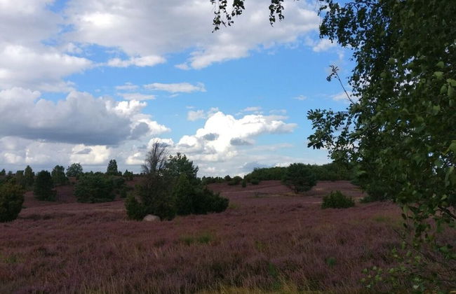 Ahlers Holiday Apartment - Foto 14