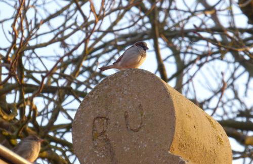 Ferienwohnung Gulfhof Siebelshörn - Photo 37