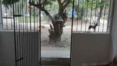 Apartamento Térreo - Setiba - Guarapari - Foto 4