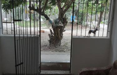 Apartamento Térreo - Setiba - Guarapari - Foto 4