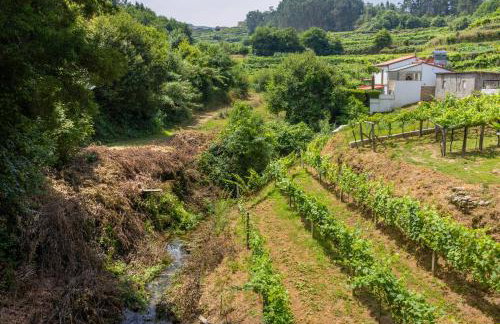 Quinta Da Cevidade - Foto 41