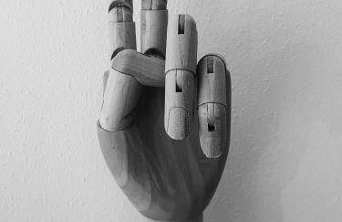 Erholen im Tiny House am Waldrand - Foto 18