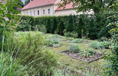 Arboris - Retreat into the open - Photo 52