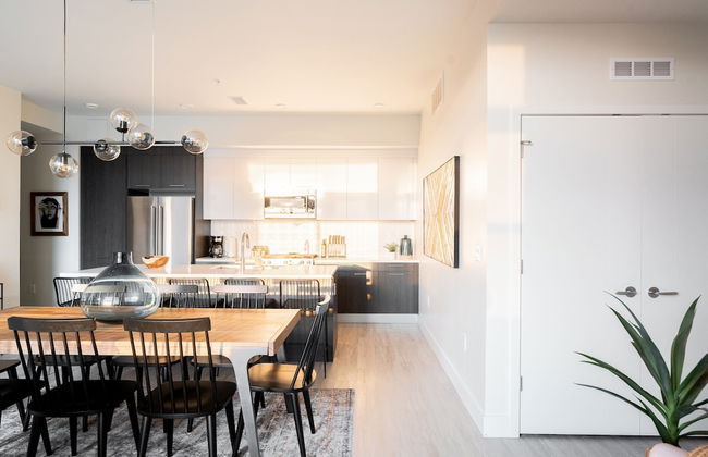 Bold & Elevated | Espadin LoHi - Foto 16