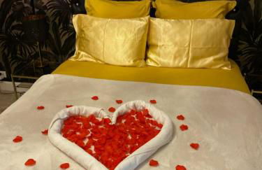 Appartement de luxe avec Jacuzzi au centre de Metz - Foto 13