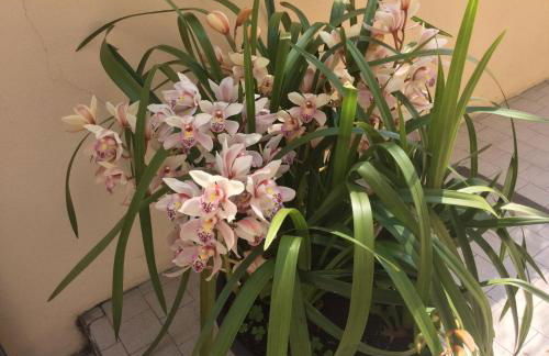 il nido nella quiete - Foto 34