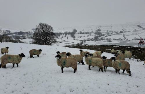 Beebole Cottage - Foto 35