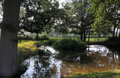 Old Barn Cottage - Foto 12