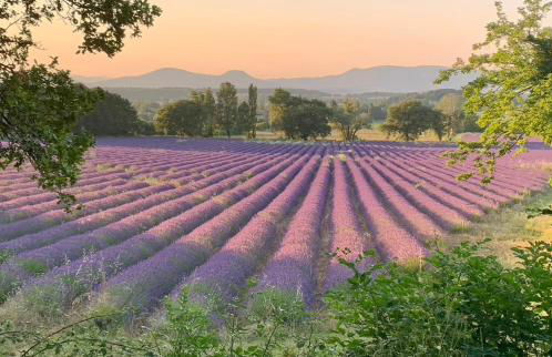 Le verger de Génas - Foto 24