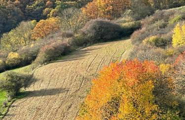 Ferienhaus Vogelsberg - Photo 18